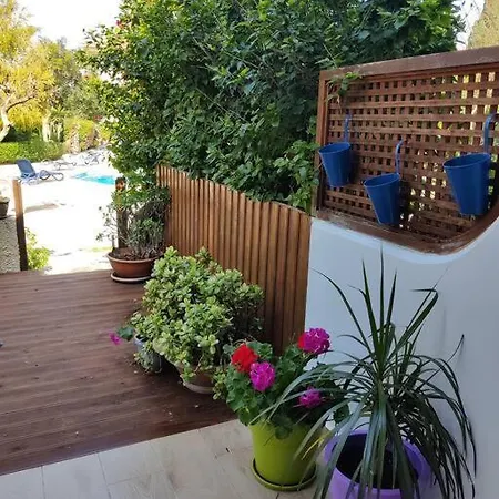 Rachel By The Pool *