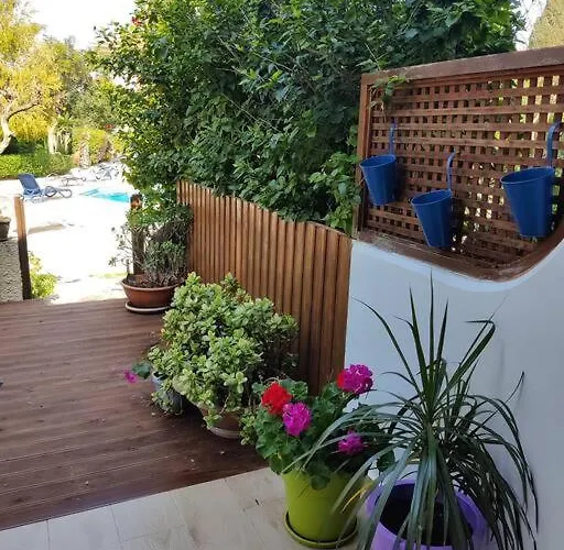 Rachel By The Pool *